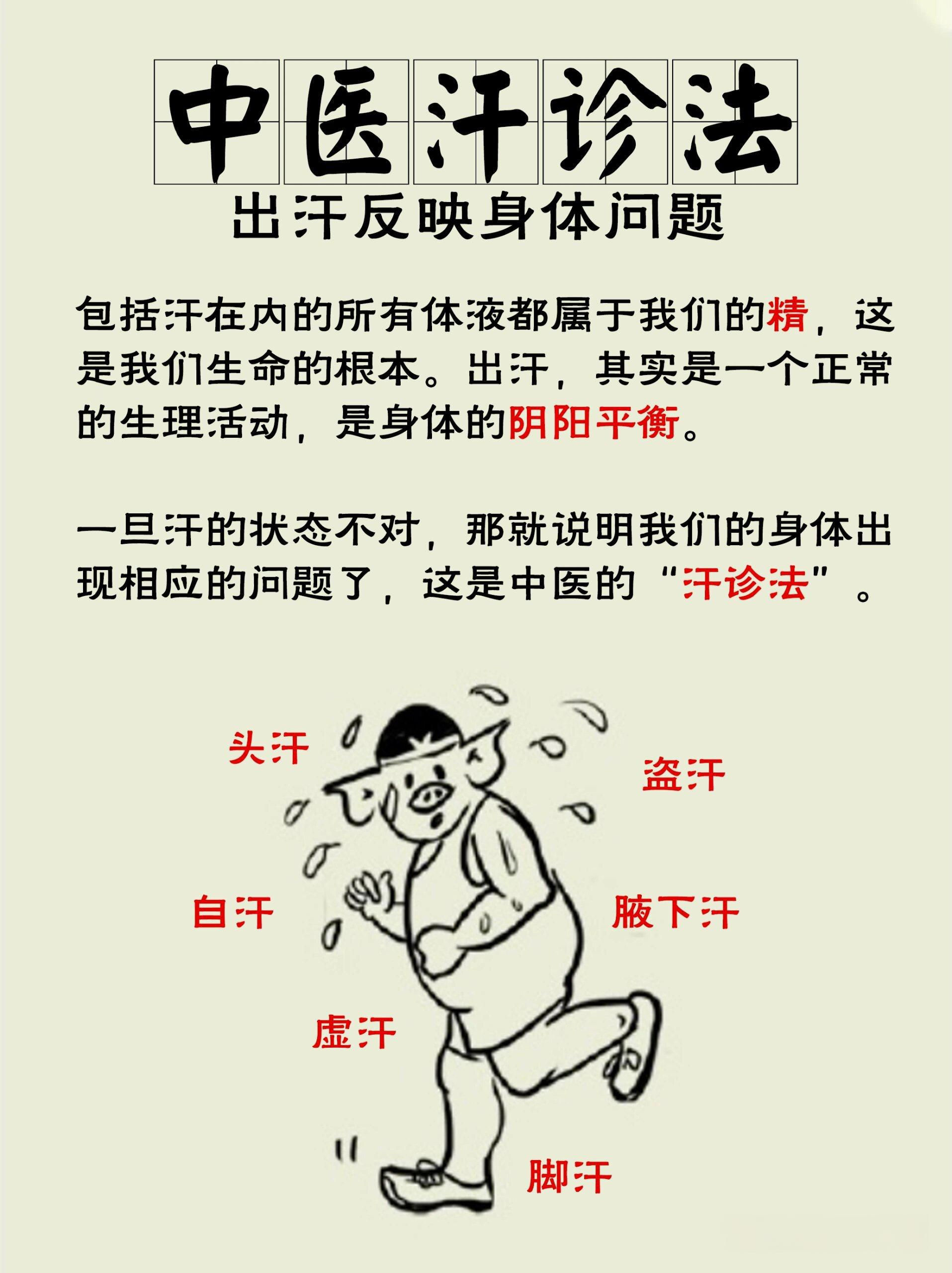 夏季运动出汗过多时应多喝什么(夏季运动出汗过多时应多喝什么汤)