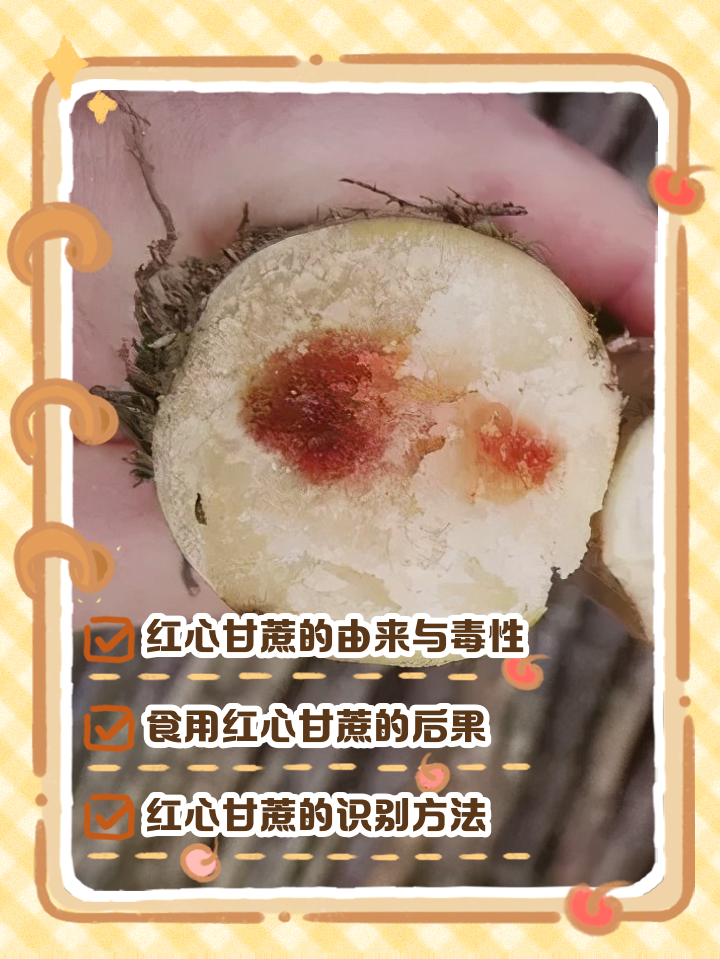 清明节的甘蔗为什么不能吃(清明节的甘蔗为什么不能吃了)