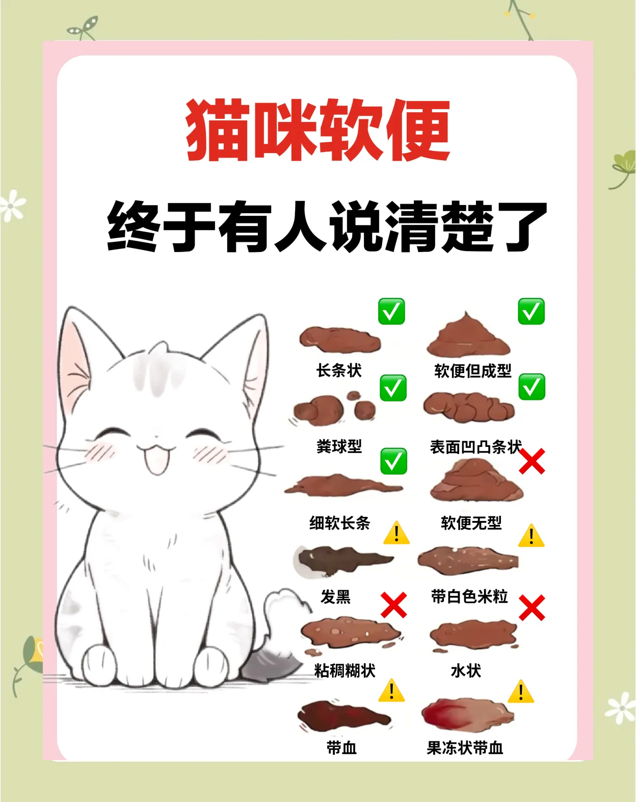 猫咪快速止泻方法(猫拉稀最好的土方法)