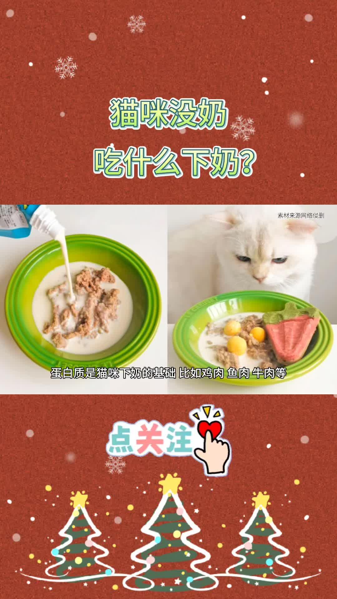 猫吃什么下奶最快最多最有效的简单介绍
