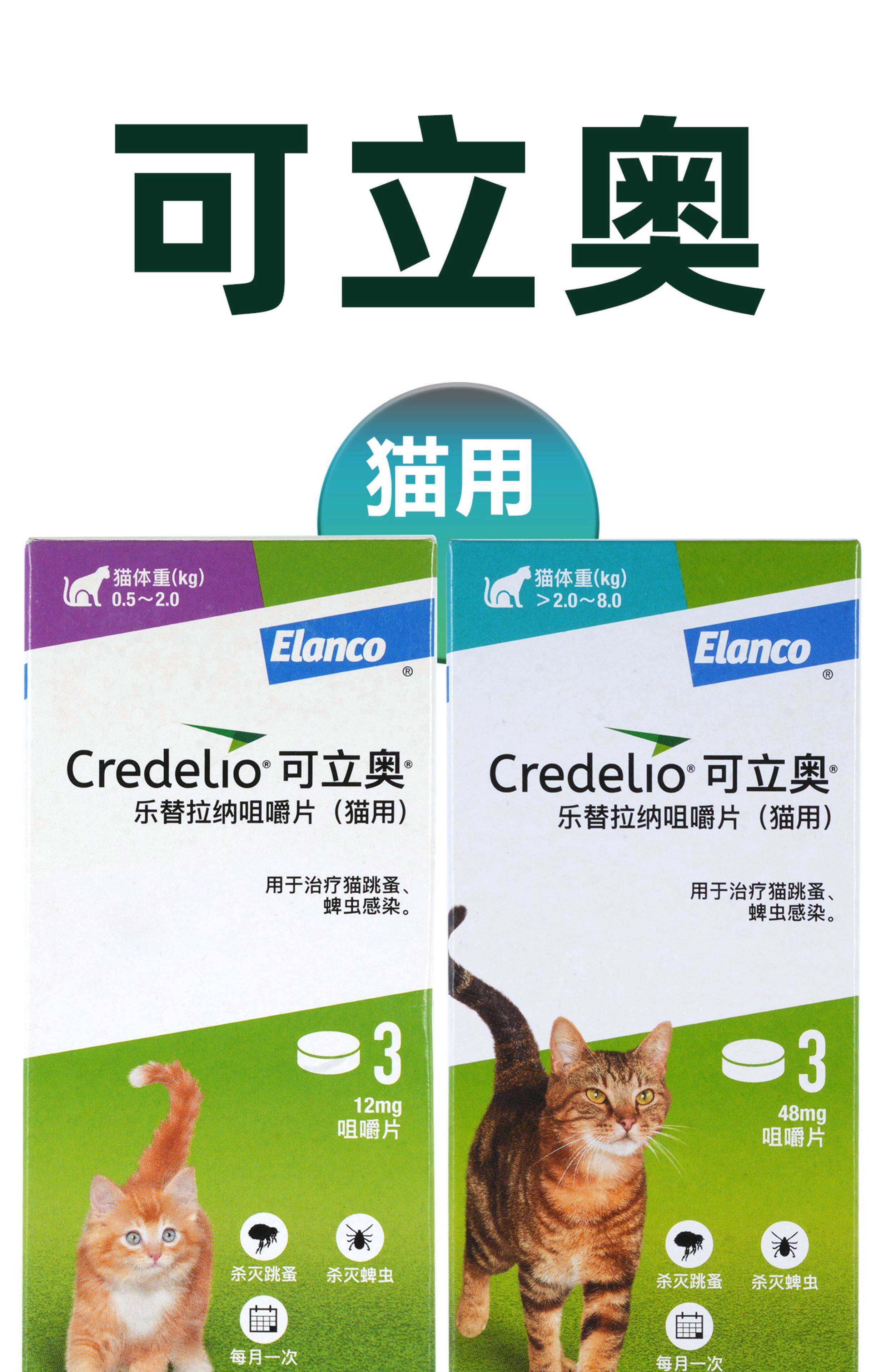 猫肠胃炎吃什么药最好(猫肠胃炎吃什么药最好只呕吐)
