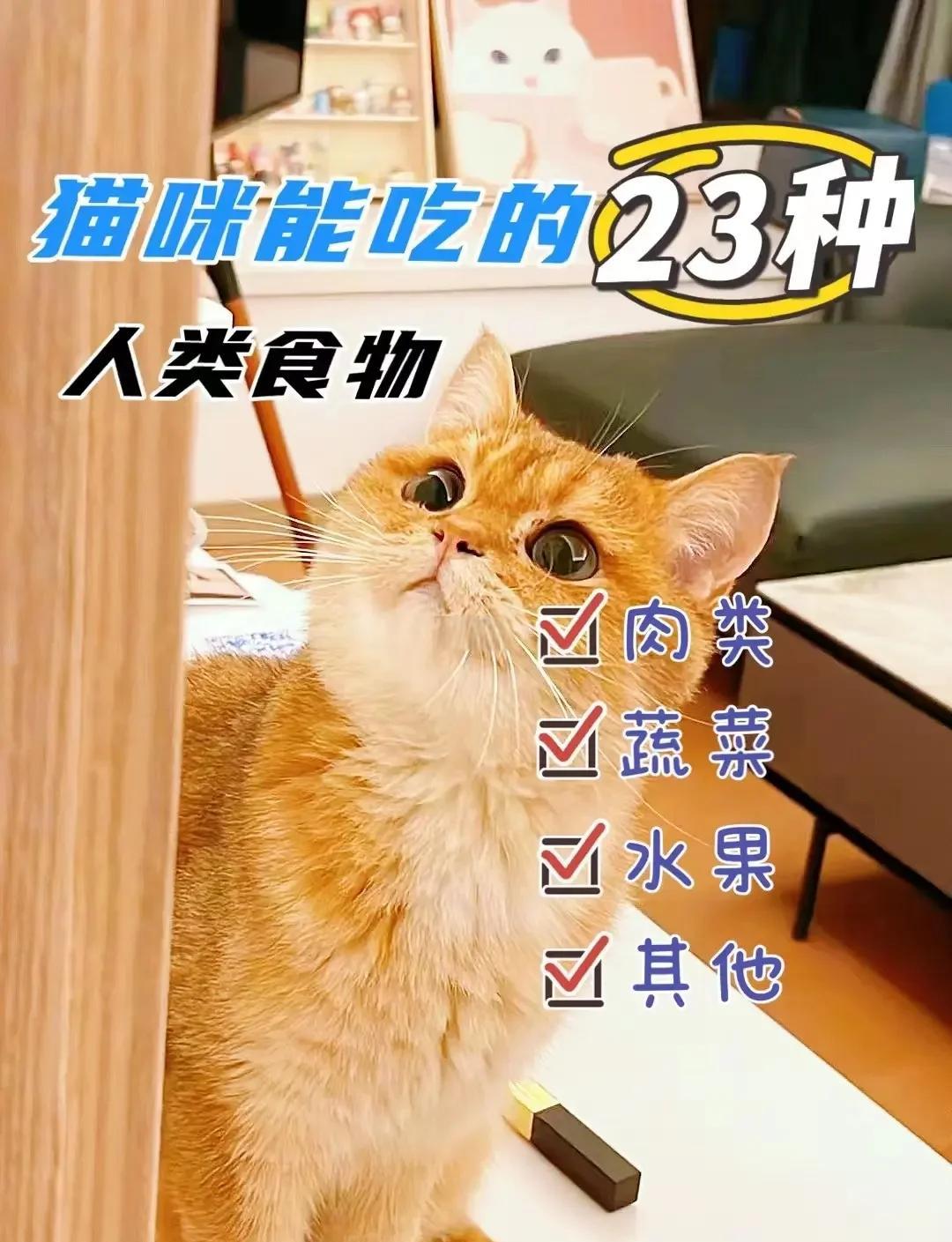 猫能吃榴莲吗(猫能吃榴莲吗安全吗)