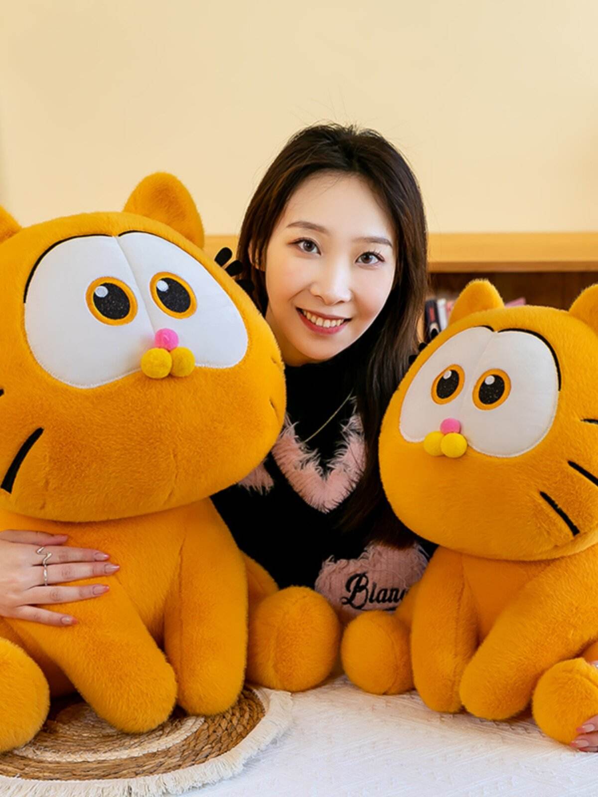 加菲猫价格(加菲猫价格多少钱一只血统纯正)