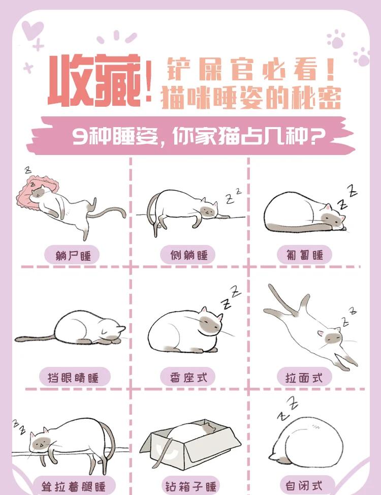跟猫一起睡觉的6大危害(跟猫在一起睡觉有什么影响)