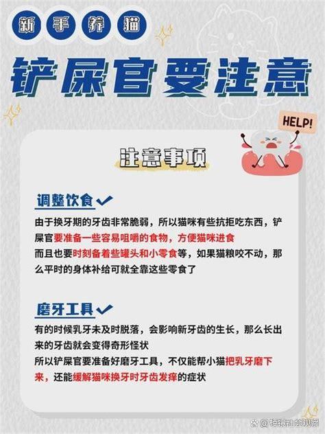 猫咪换牙是几个月(猫换牙旧牙去哪里了) 猫咪换牙是几个月(猫换牙旧牙去哪里了)