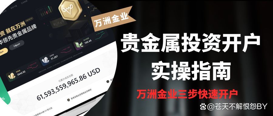 投资贵金属平台(投资贵金属平台淘宝)
