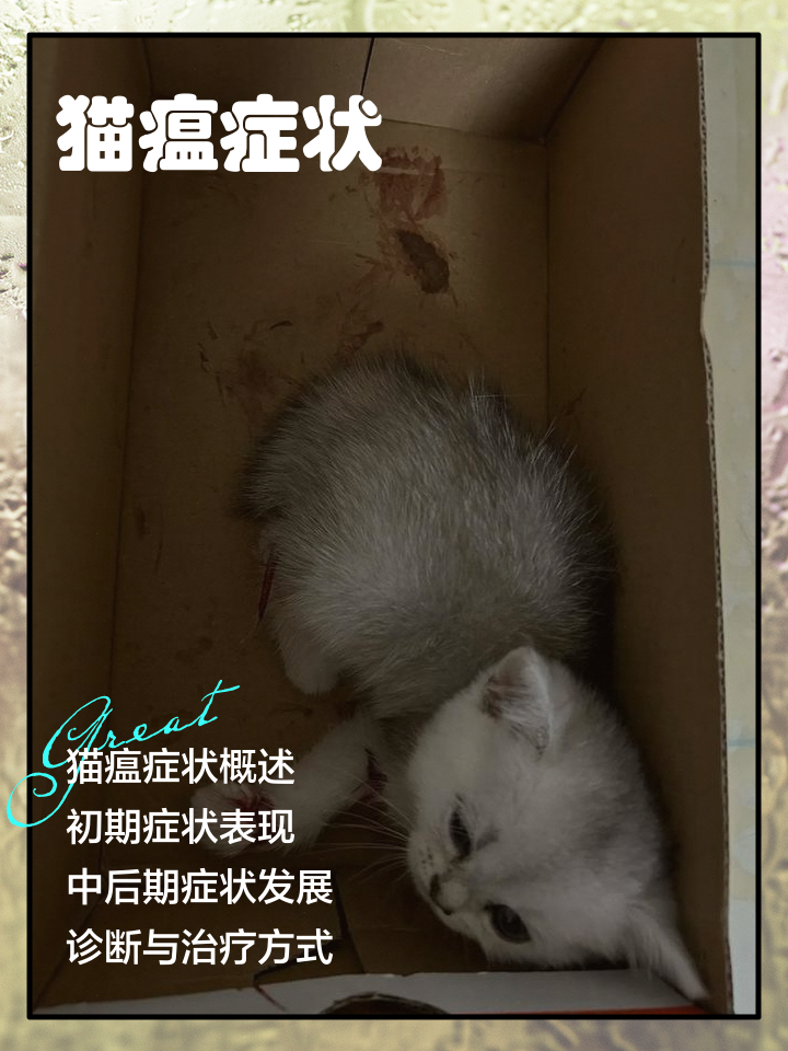 猫瘟会传染给猫吗(猫瘟会不会传染给猫) 猫瘟会传染给猫吗(猫瘟会不会传染给猫)