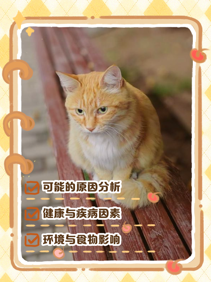 猫突然不吃东西了是为什么(猫突然不吃东西也不动是什么原因) 猫突然不吃东西了是为什么(猫突然不吃东西也不动是什么原因)