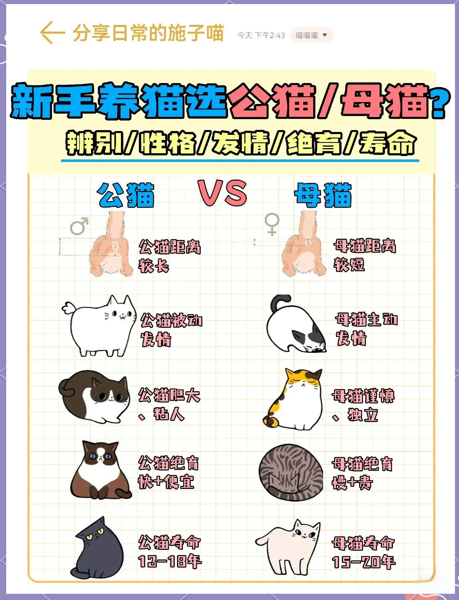 怎么分猫咪的公母图解(怎么分猫咪的公母图解图片) 怎么分猫咪的公母图解(怎么分猫咪的公母图解图片)