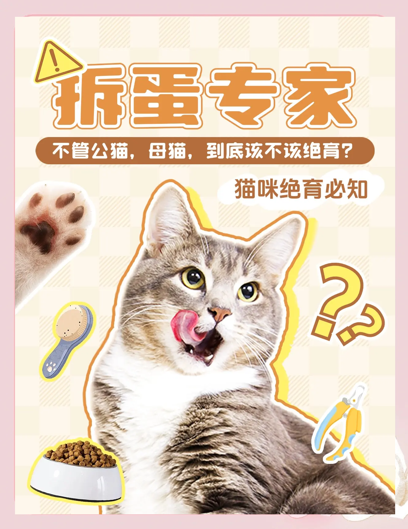 猫咪绝育后多久可以吃东西(猫咪绝育后多久可以吃东西?术后护理要注意哪些事项?)
