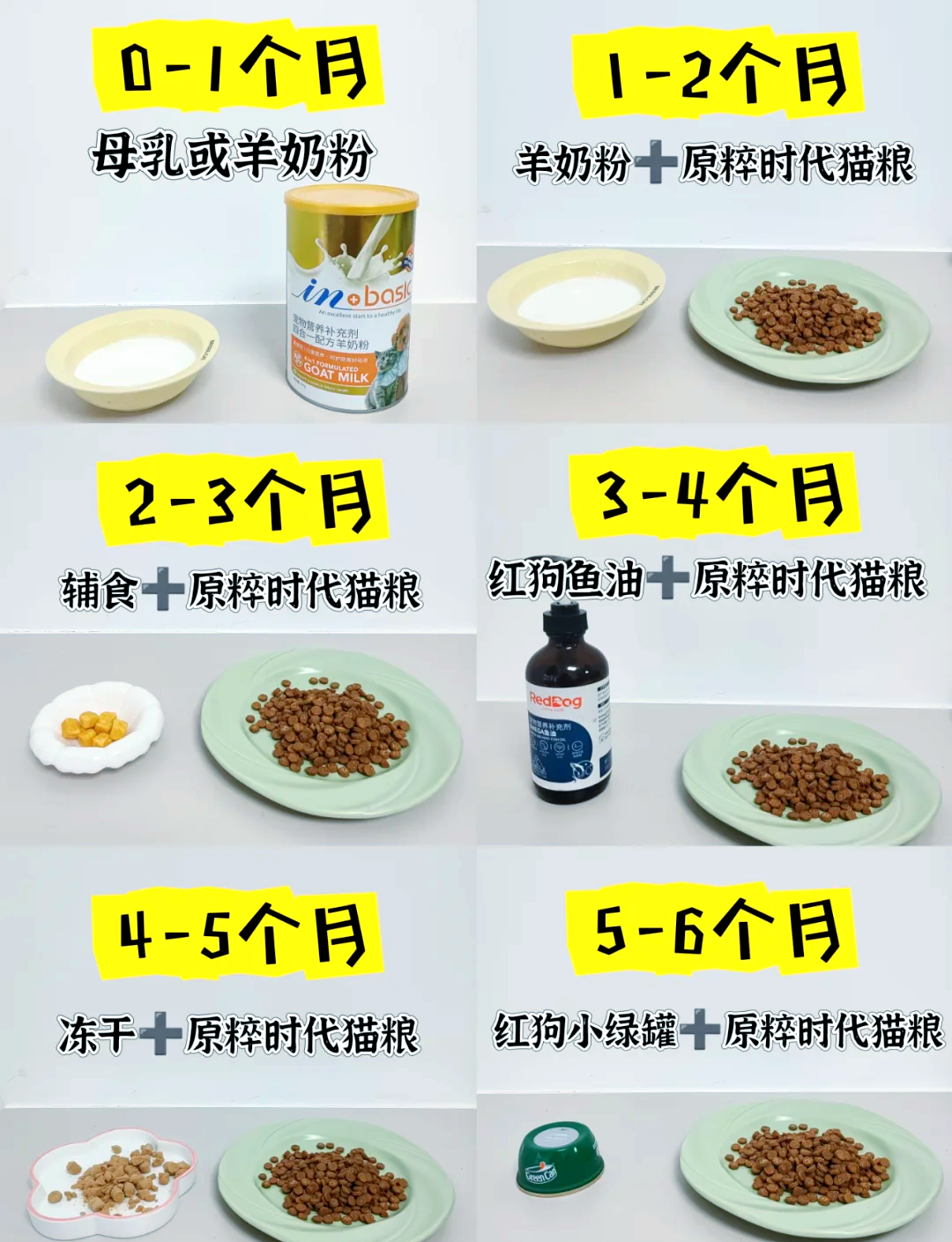 猫咪绝育后多久可以吃东西(猫咪绝育后多久可以吃东西?术后护理要注意哪些事项?)