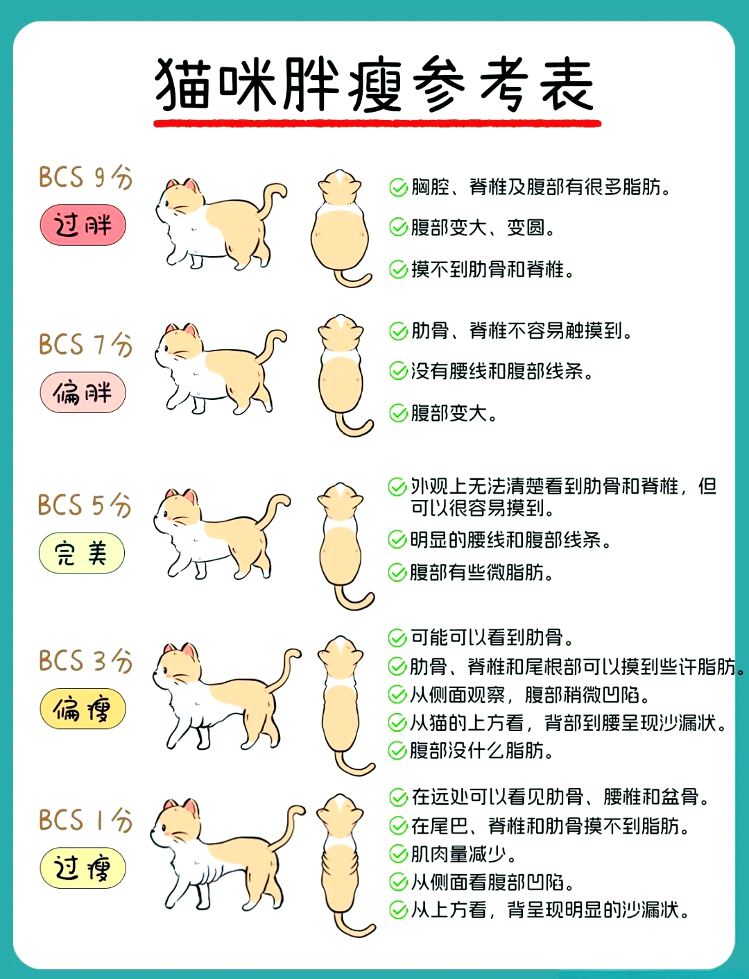 英短猫吃什么胖的最快的简单介绍 英短猫吃什么胖的最快的简单介绍