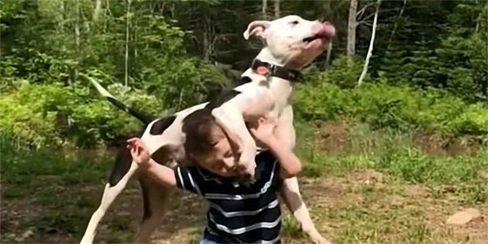 操之过急(操之过急和急于求成的区别) 操之过急(操之过急和急于求成的区别)