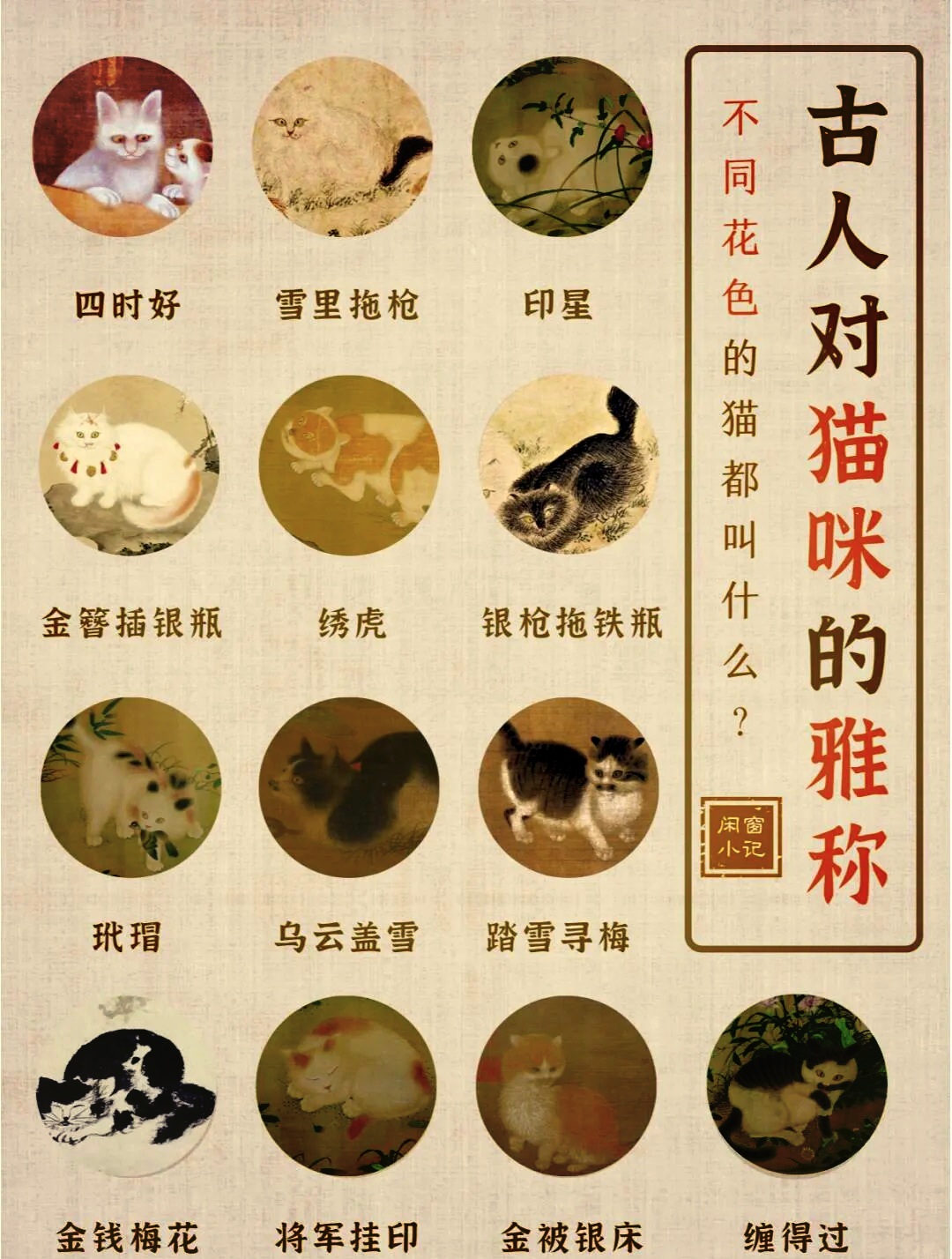 猫咪起名大全招财洋气(猫咪起名大全招财洋气狸猫的名字)