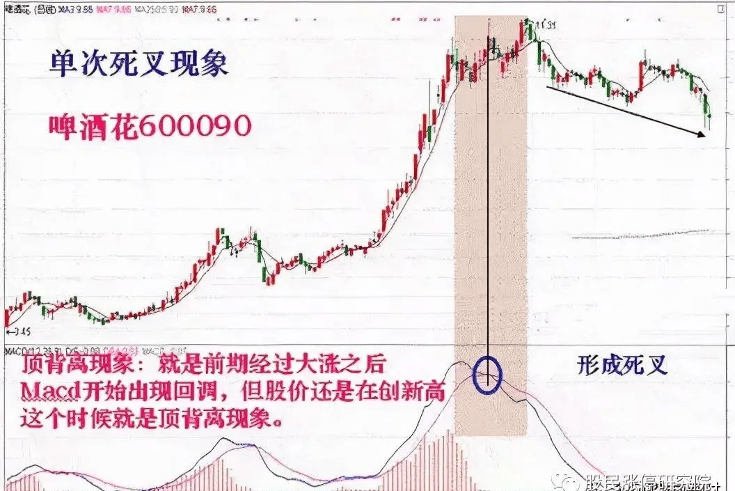 怎看懂macd指标(macd指标怎么看 macd指标详解)