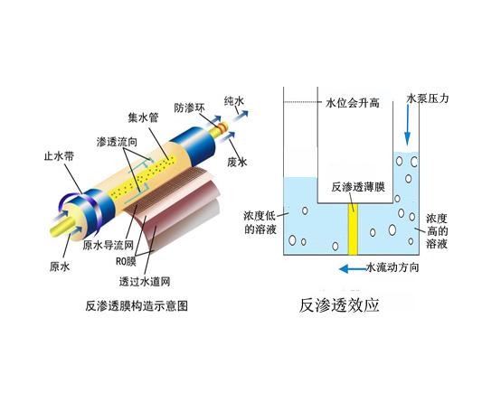 渗透的意思(渗透的意思和拼音)