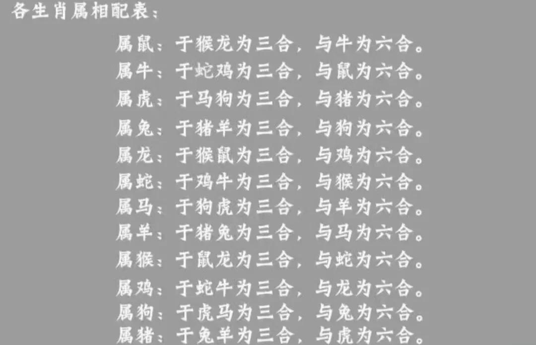 三十以下金水号是什么生肖(三十以下金水号代表什么生肖)