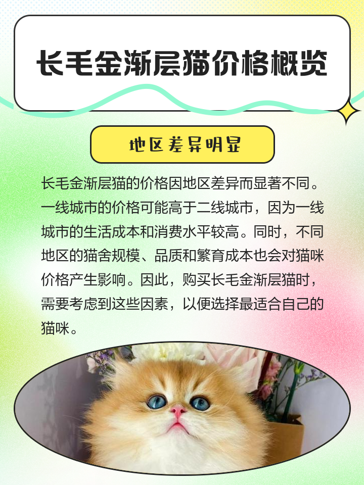 金渐层价格(金渐层价格多少钱一只) 金渐层价格(金渐层价格多少钱一只)