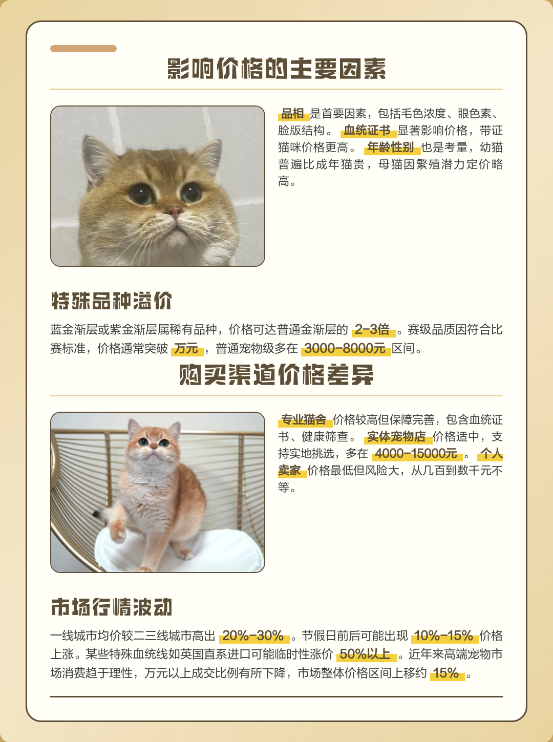金渐层价格(金渐层价格多少钱一只) 金渐层价格(金渐层价格多少钱一只)