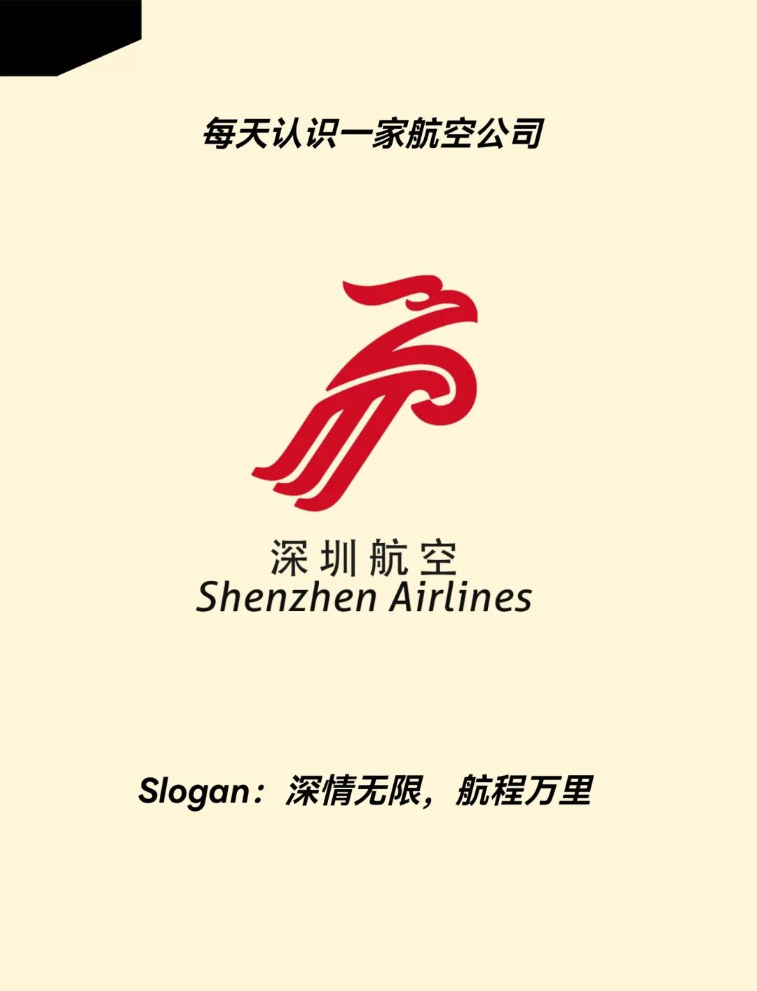 深圳航空公司官网首页(深圳航空公司官网首页查询)