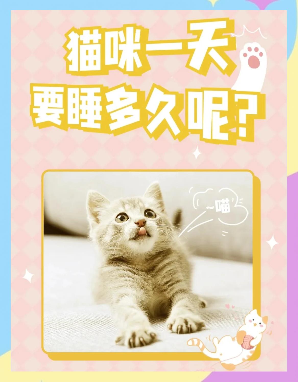 小猫睁眼需要多少天(小猫睁眼多久能看出眼睛颜色)