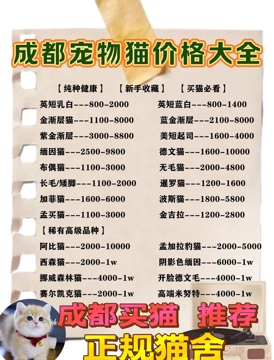 宠物寄养一般怎么收费(寄养宠物一个月400500)