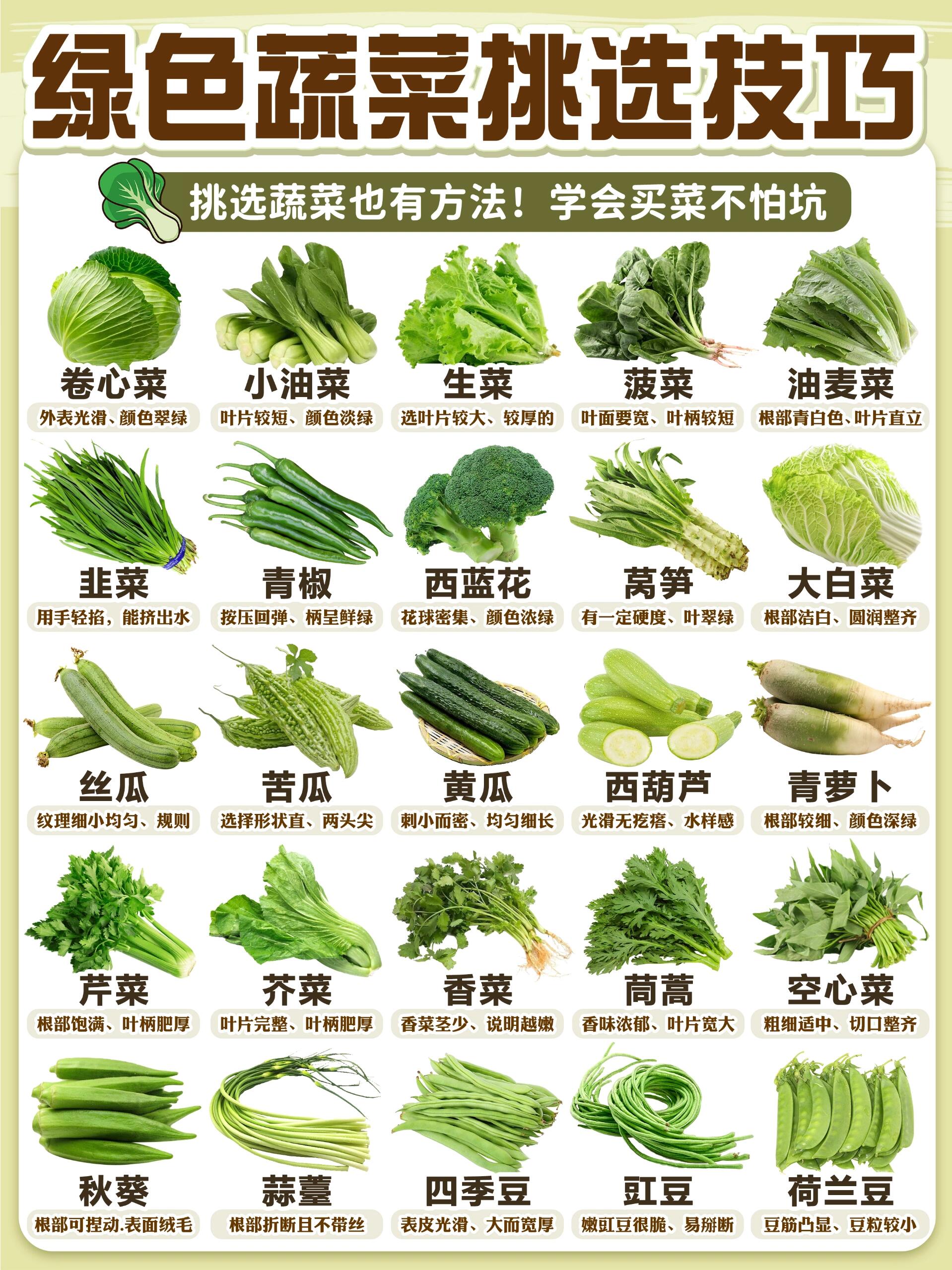 莴笋叶和油麦菜的区别(莴笋叶和油麦菜的区别在哪里)
