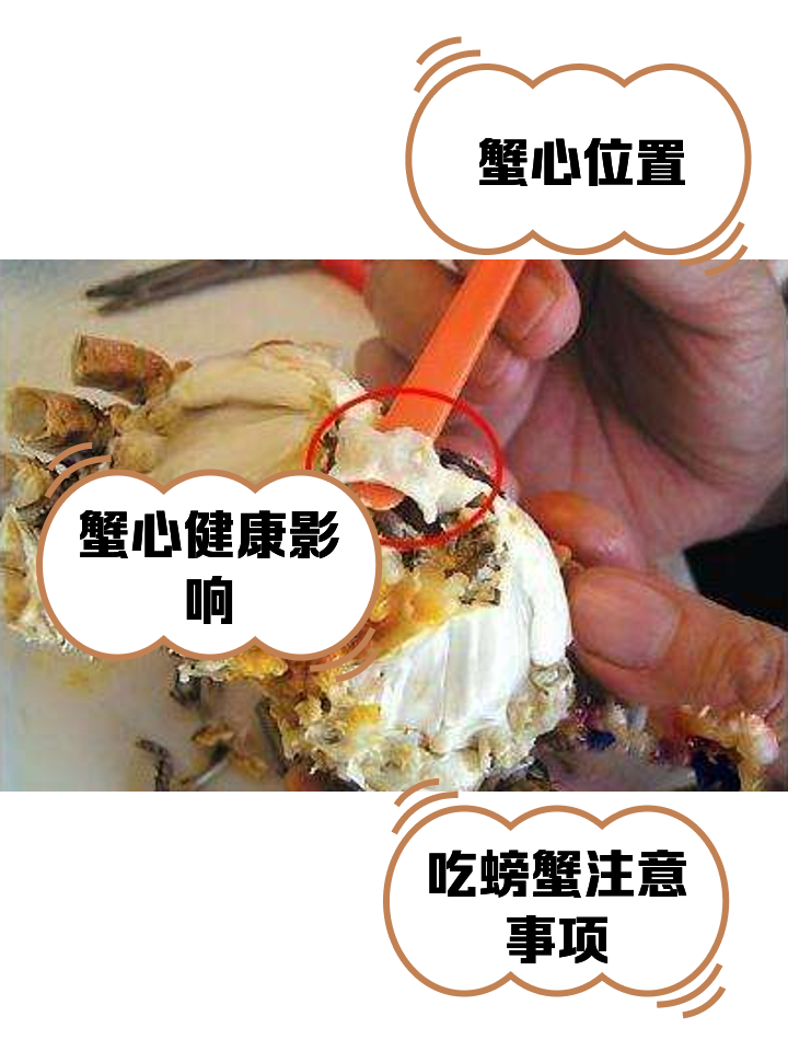 丁蟹效应(丁蟹效应价格)
