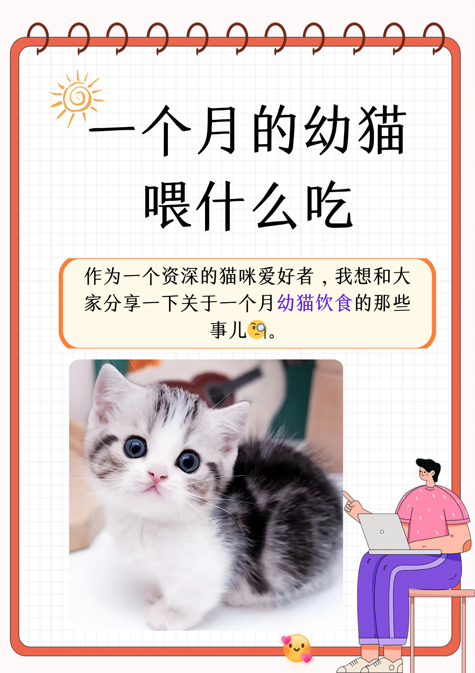 猫咪能吃什么(猫咪能吃什么食物) 猫咪能吃什么(猫咪能吃什么食物)