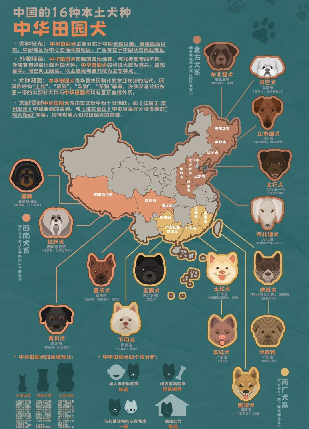 猫狗兽(猫狗兽药品牌排行榜前十名) 猫狗兽(猫狗兽药品牌排行榜前十名)