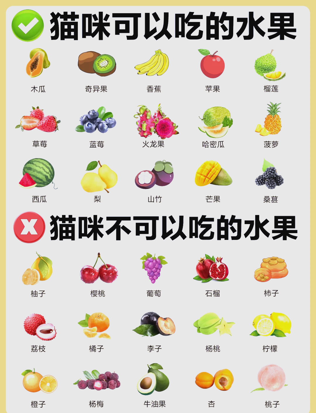 猫可以吃苹果吗(猫咪十大禁忌水果) 猫可以吃苹果吗(猫咪十大禁忌水果)