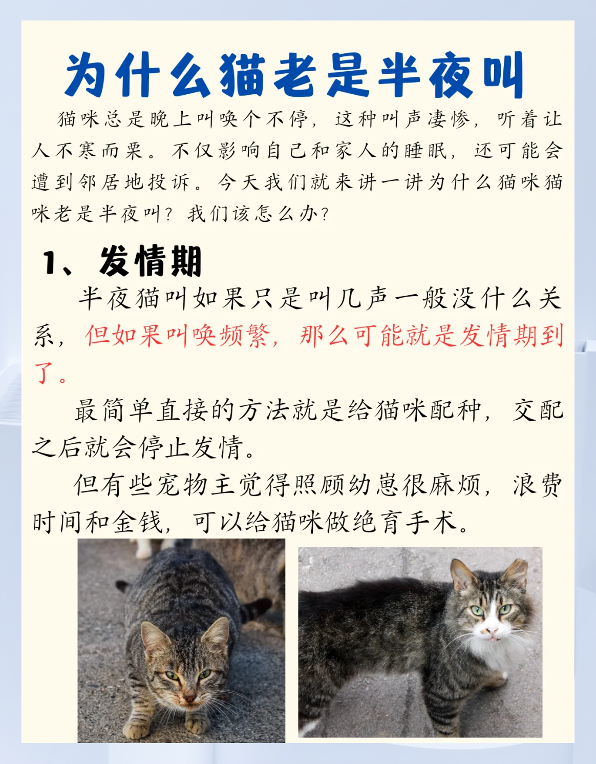 猫叫春是怎么回事(猫叫春是怎么回事?)
