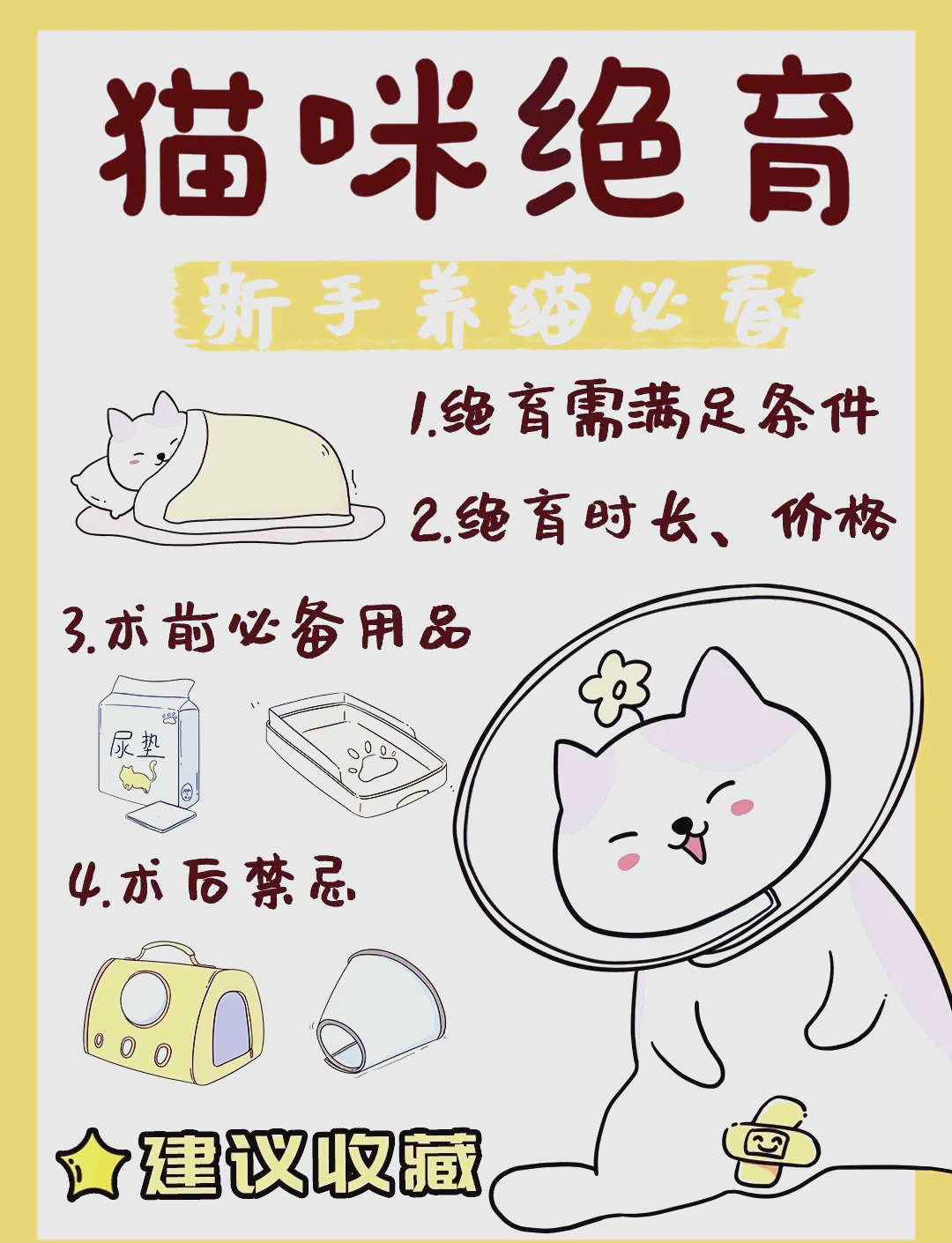猫绝育后多久可以吃东西(猫绝育后多久可以吃东西了)