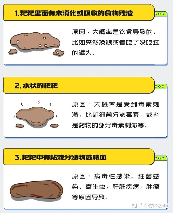 猫咪软便和拉稀的区别图片(猫咪软便和拉稀的区别图片大全)