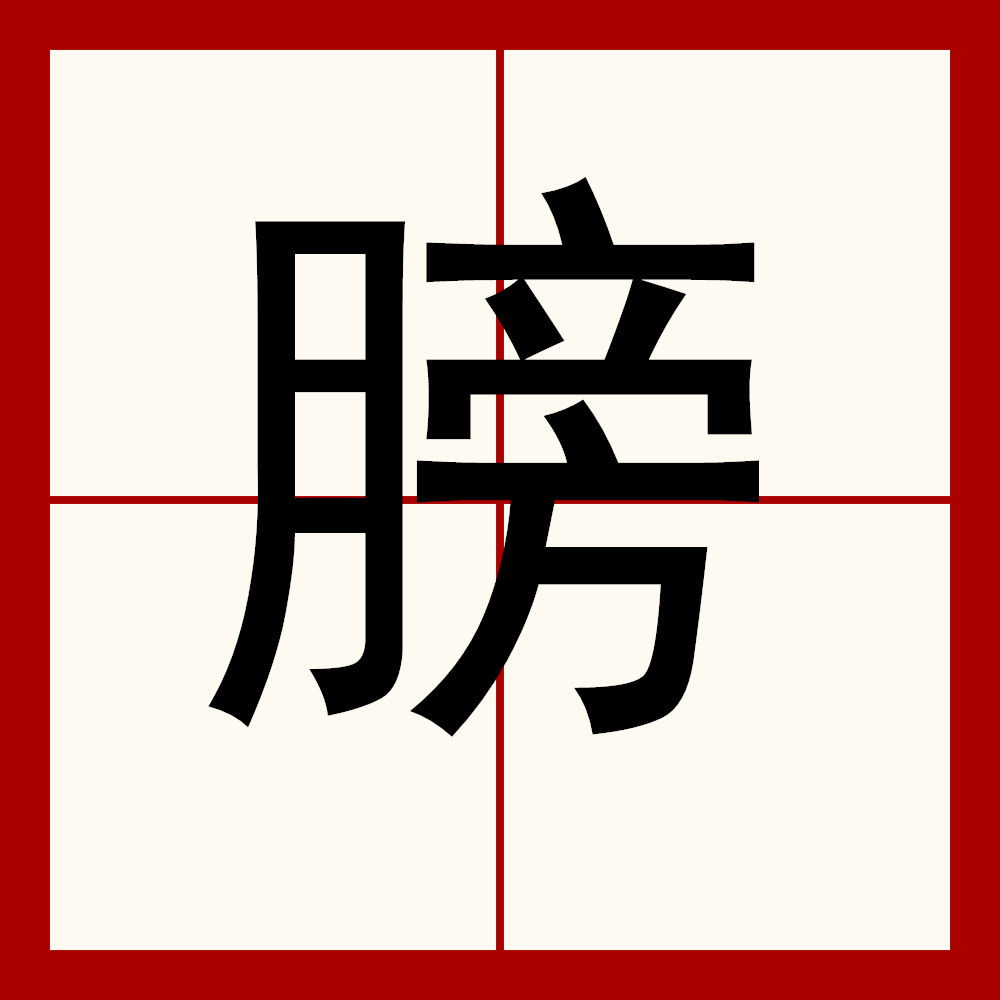 羽翼的拼音(薄薄的羽翼的拼音)