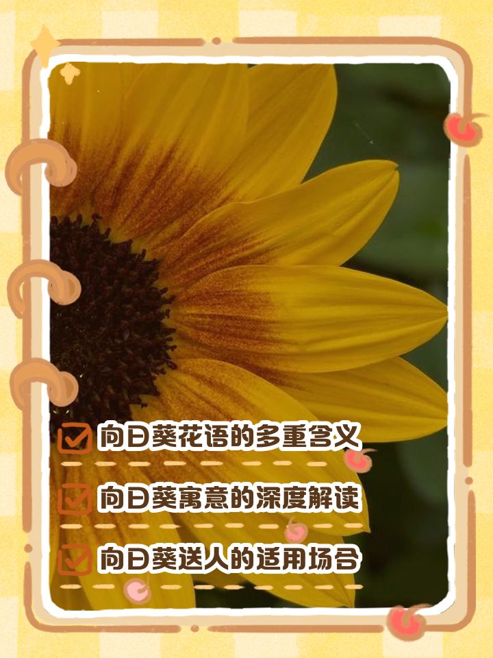 向日葵花语经典话语(向日葵花语经典话语英语)