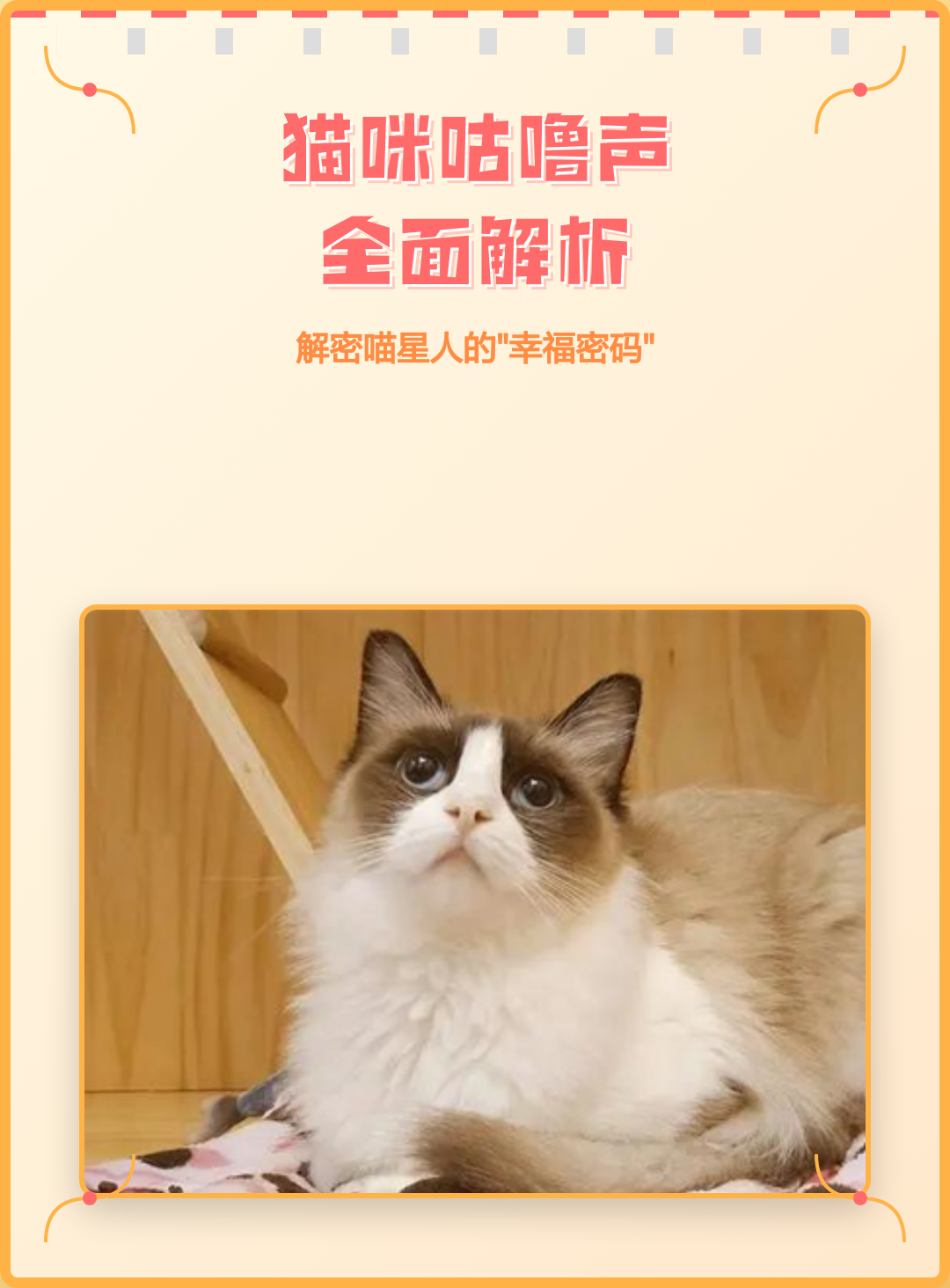 猫到新环境一直呼噜(猫到了新环境呼噜呼噜的是怎么回事) 猫到新环境一直呼噜(猫到了新环境呼噜呼噜的是怎么回事)