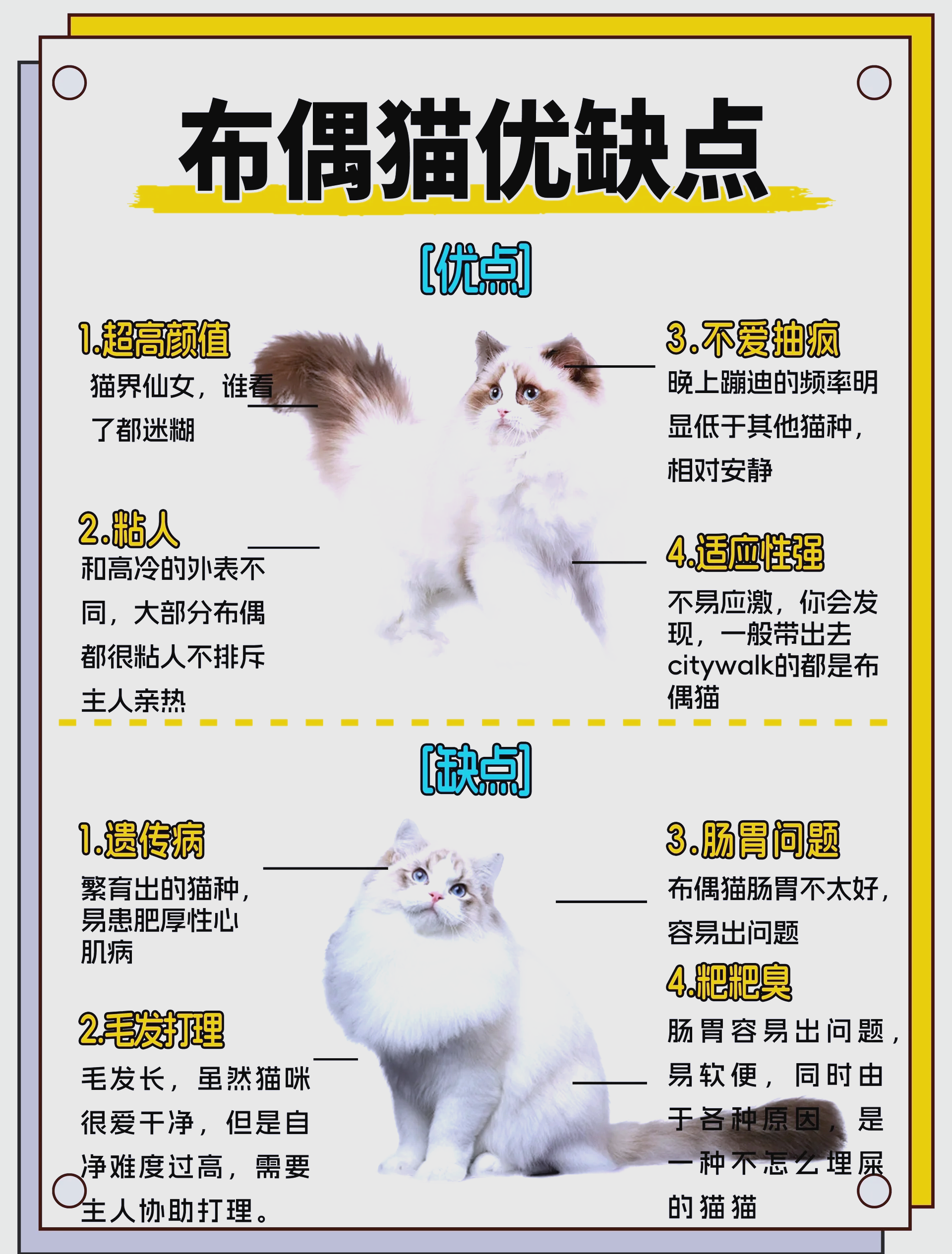 猫跟人有缘是什么预兆(猫亲近你,玄学,暗示什么) 猫跟人有缘是什么预兆(猫亲近你,玄学,暗示什么)