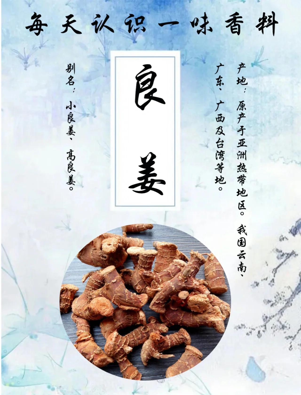 良姜(良姜图片)