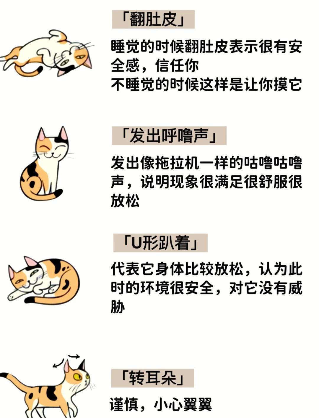 猫嗷呜长叫拖长尾音(猫嗷呜长叫拖长尾音 怎么办)