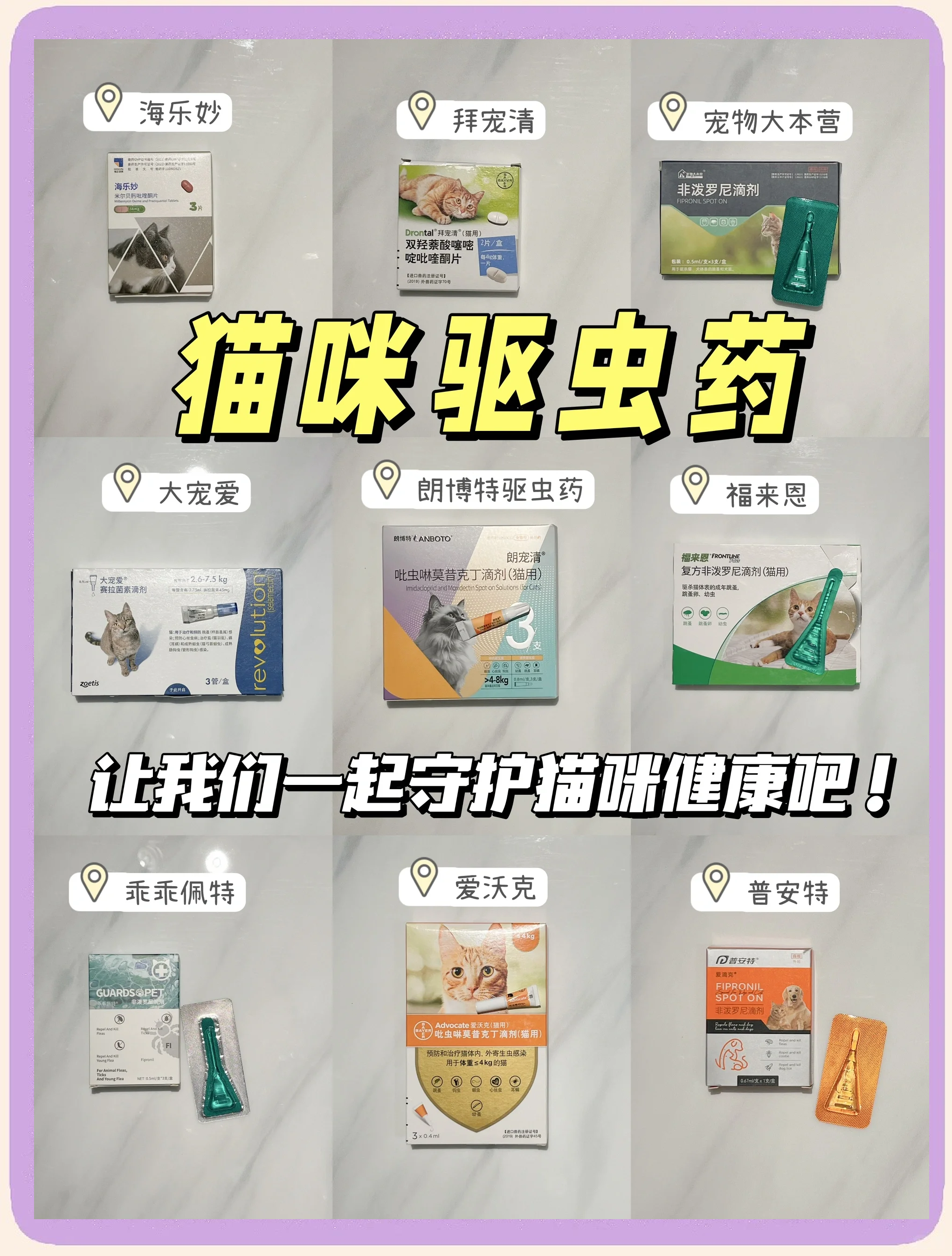 老鼠药能毒死猫吗(现在的老鼠药能毒死猫吗) 老鼠药能毒死猫吗(现在的老鼠药能毒死猫吗)