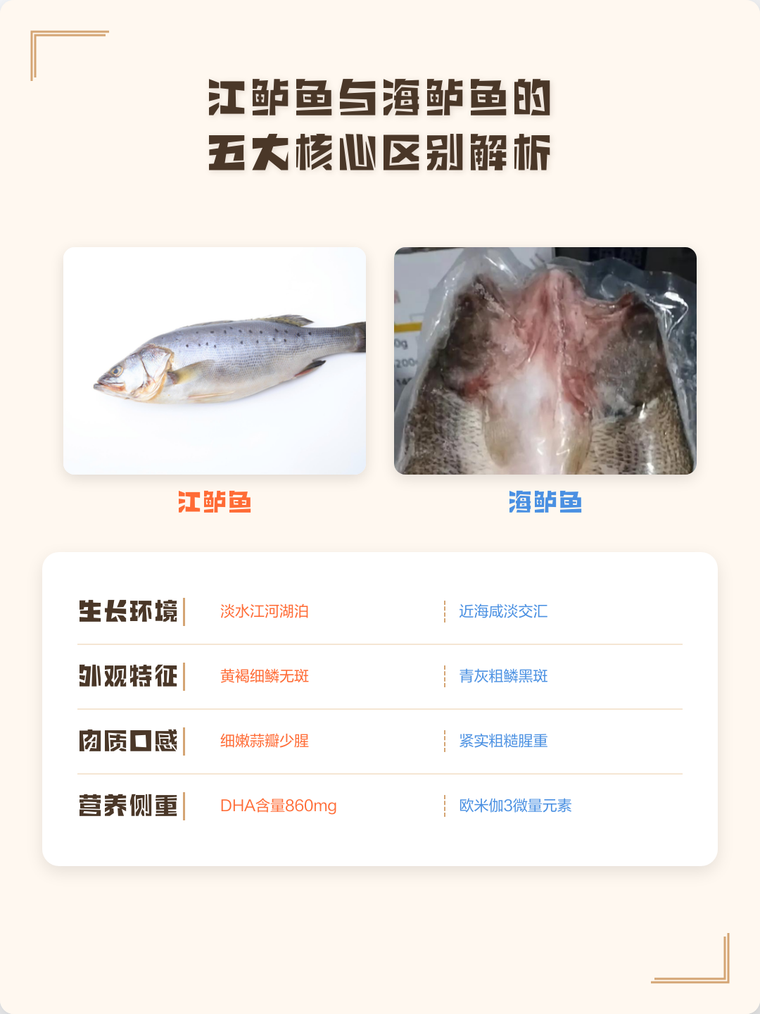 海鲈鱼和淡水鲈鱼哪个好吃(海鲈鱼多少钱一斤市场价2025) 海鲈鱼和淡水鲈鱼哪个好吃(海鲈鱼多少钱一斤市场价2025)