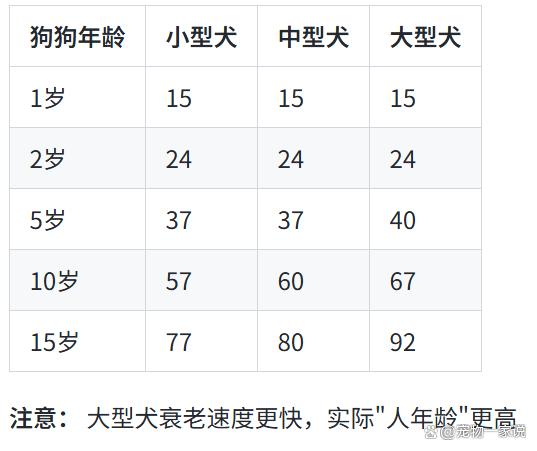 2022属狗年龄查询表(属狗的2022年多大年龄) 2022属狗年龄查询表(属狗的2022年多大年龄)