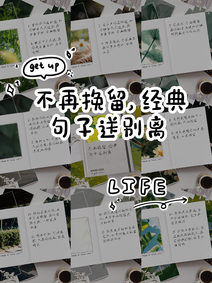 各自安好不再打扰的诗句(各自安好不再打扰的诗句有哪些)