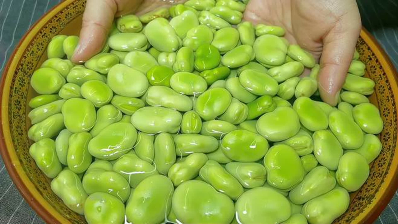 鲜胡豆怎么储藏(新鲜胡豆的储存方法) 鲜胡豆怎么储藏(新鲜胡豆的储存方法)