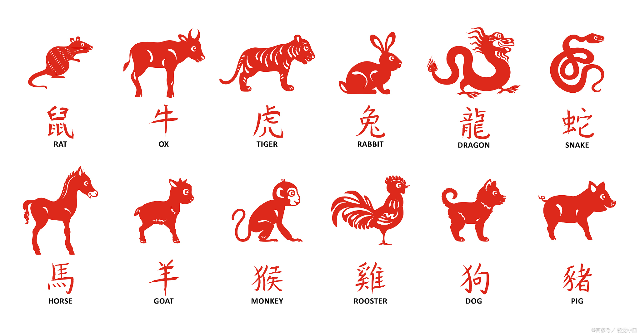 笺代表什么生肖(笺,这个字什么意思)