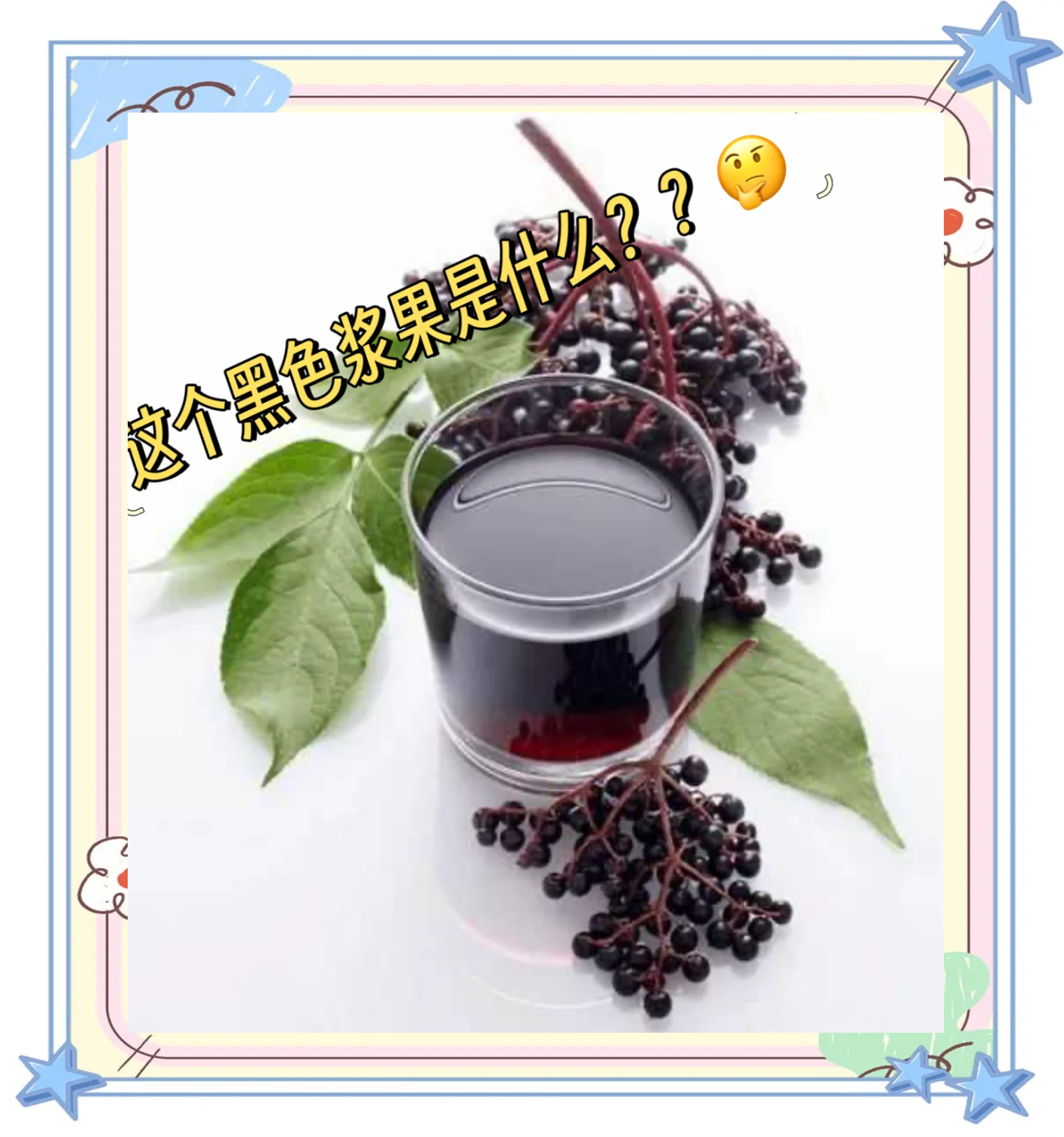 接骨木果(接骨木果实能吃吗) 接骨木果(接骨木果实能吃吗)