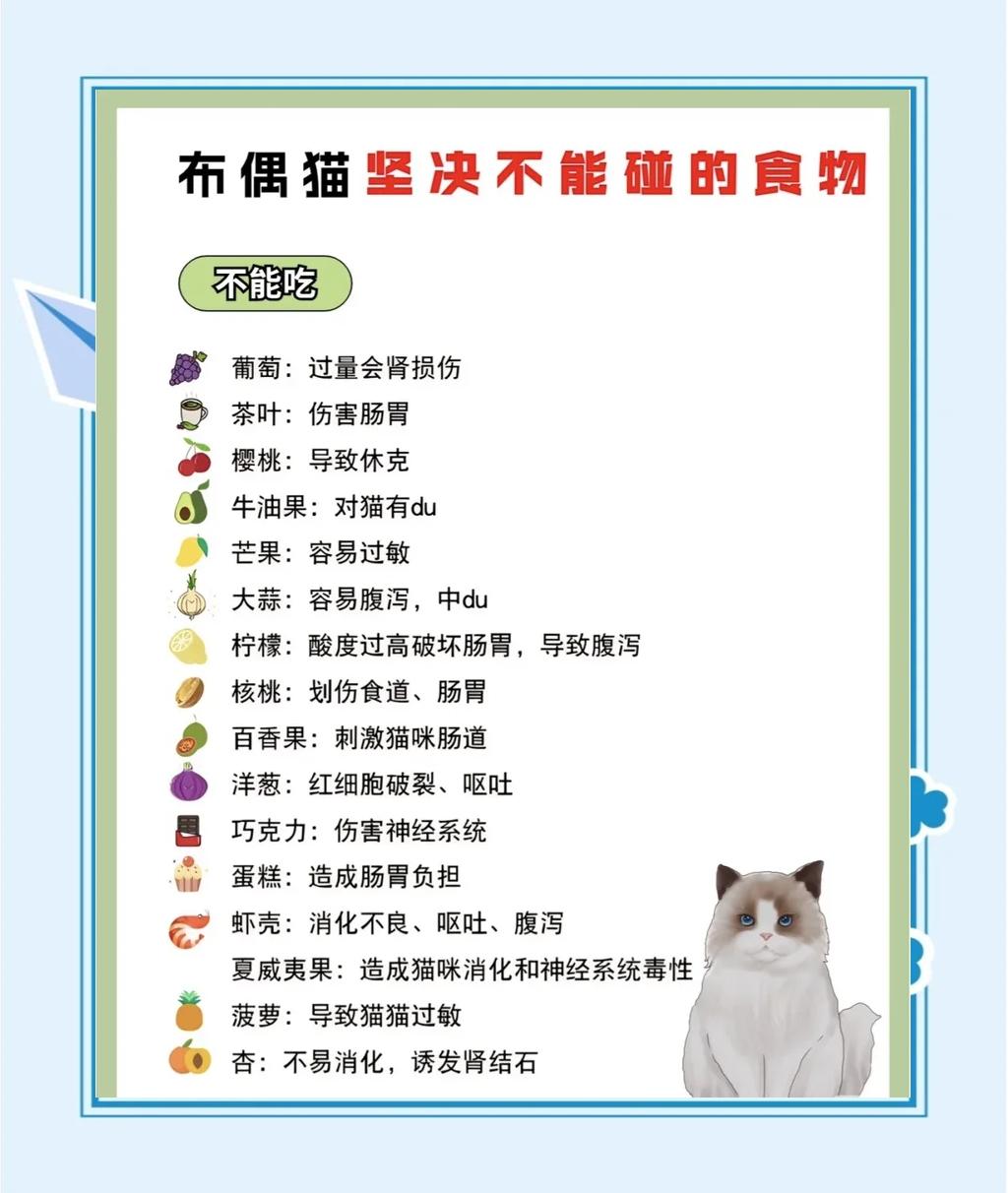 猫可以吃草莓吗(猫可以吃草莓吗酸奶)