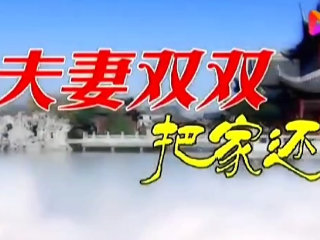 双双把家还打一数字(双双把家还打一阿拉伯数字) 双双把家还打一数字(双双把家还打一阿拉伯数字)