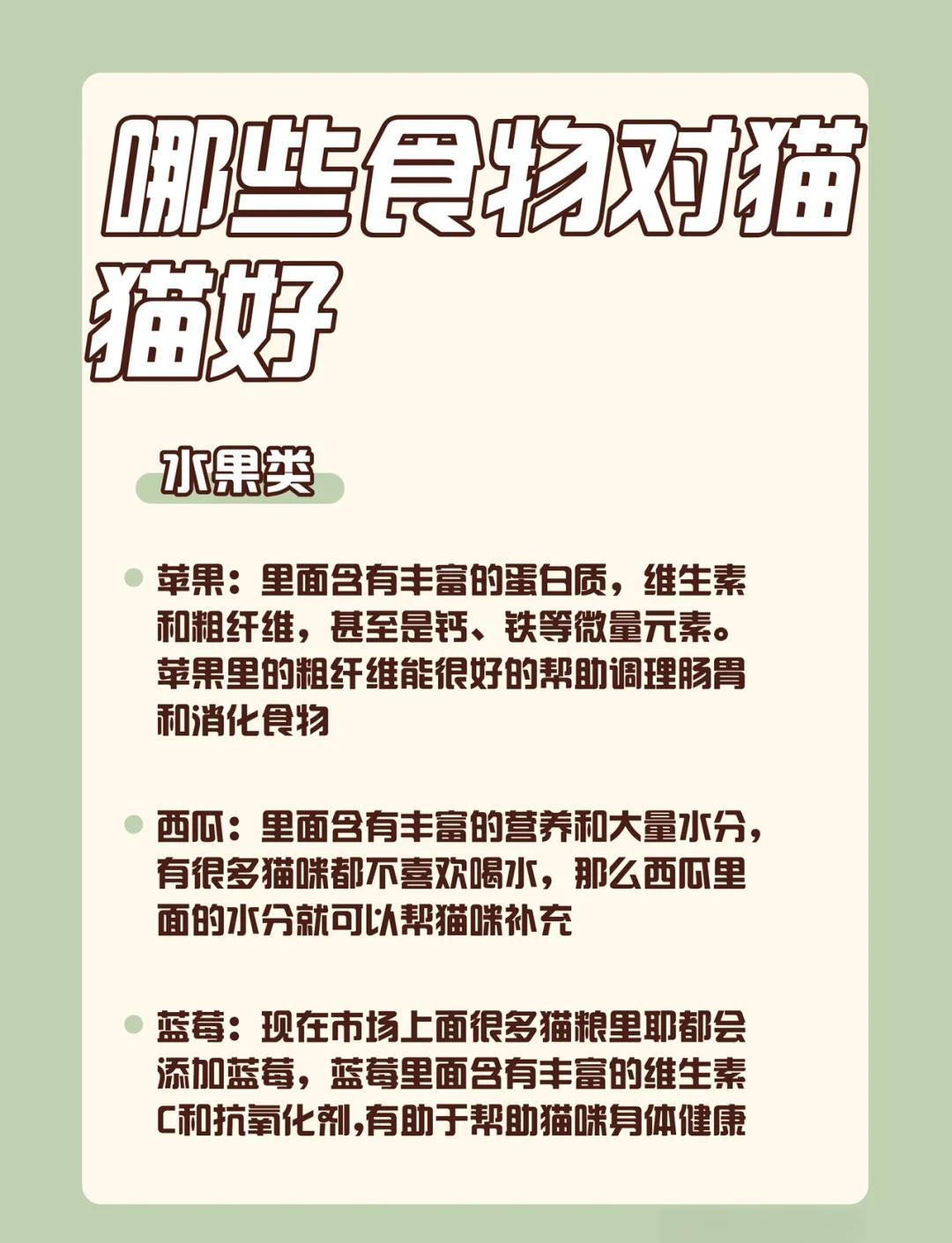 猫咪能吃芒果吗(猫可以吃芒果吗ma)